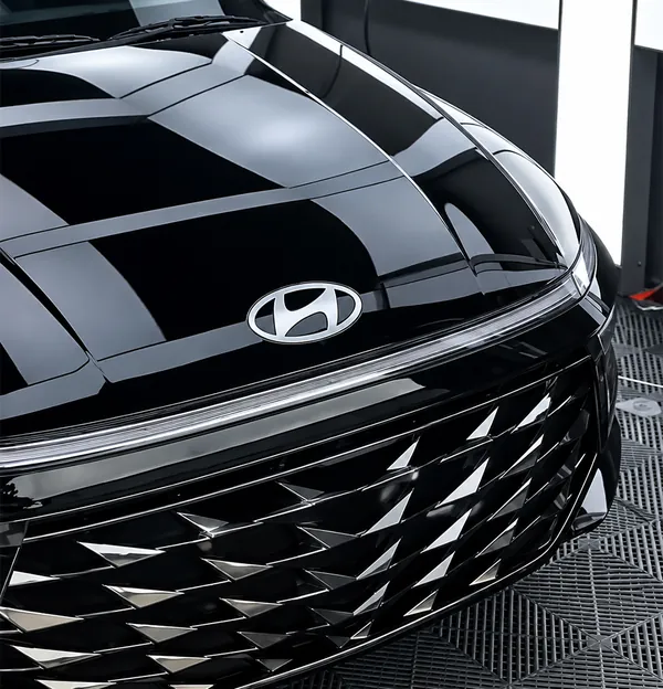 Glossy coated bonnet and grille of a black car